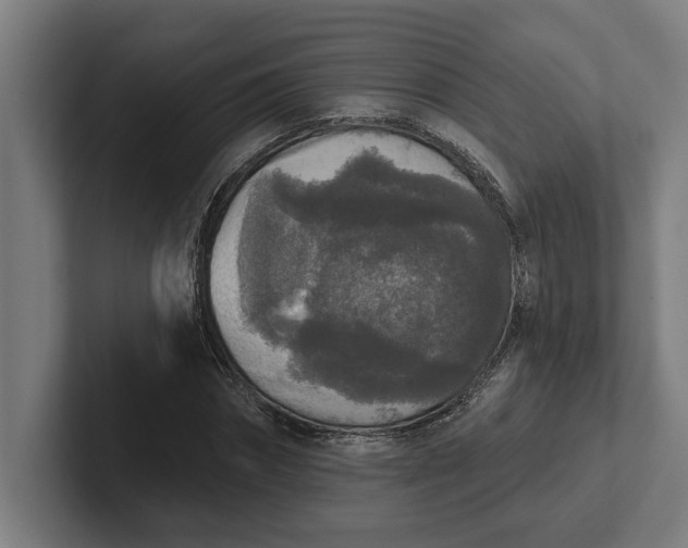 X0000102000874200808011119