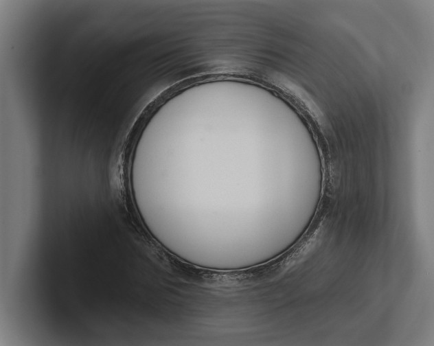 X0000102000875200808011119