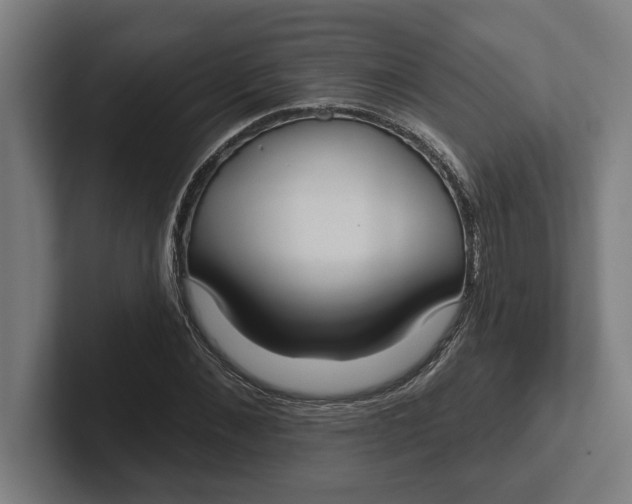 X0000102000876200808011119