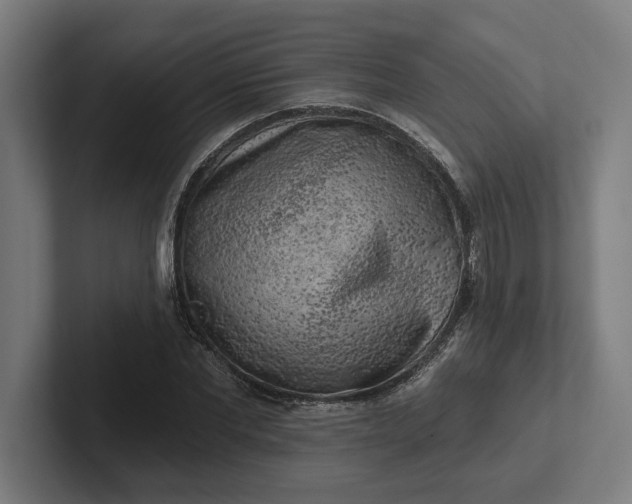 X0000102000877200808011119