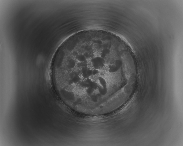 X0000102000879200808011119