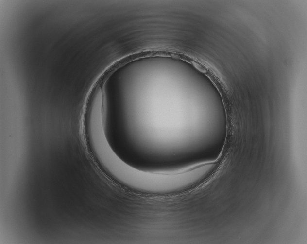 X0000102000880200808011119