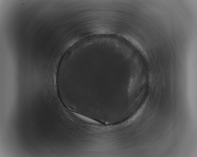 X0000102000881200808011119