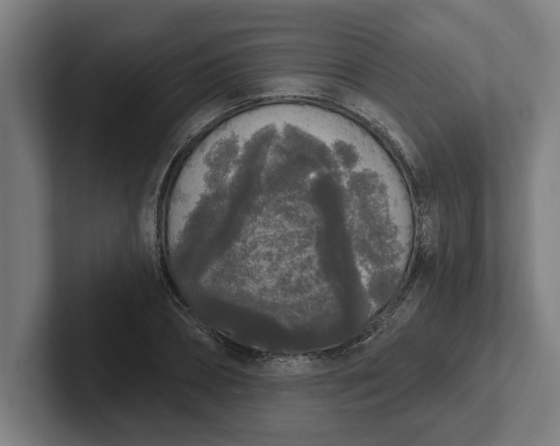 X0000102000882200808011119