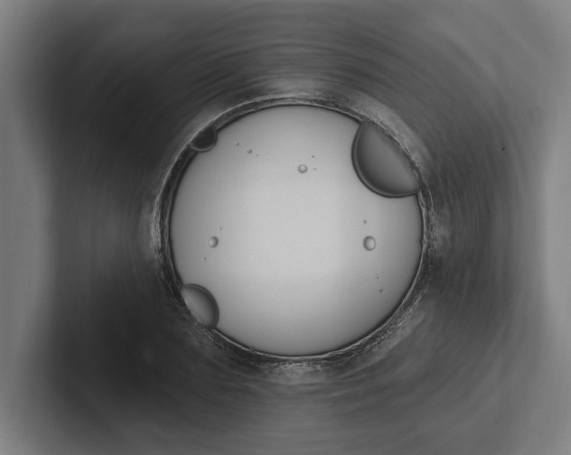 X0000102000883200808011119