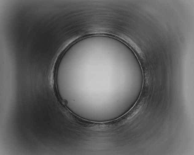 X0000102000885200808011119