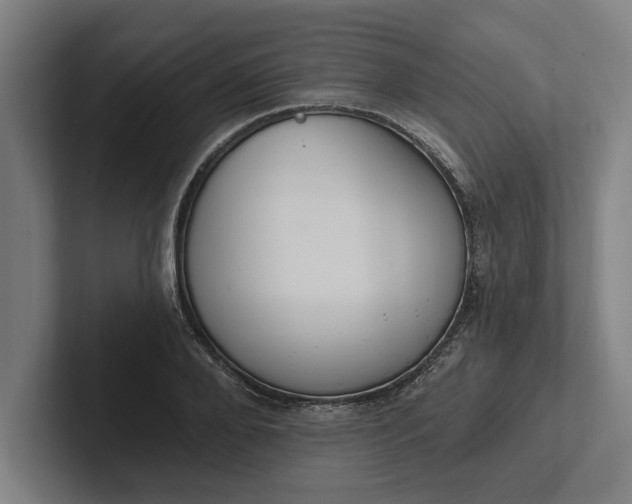 X0000102000888200808011119