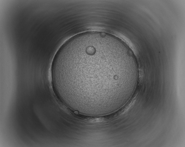 X0000102000891200808011119