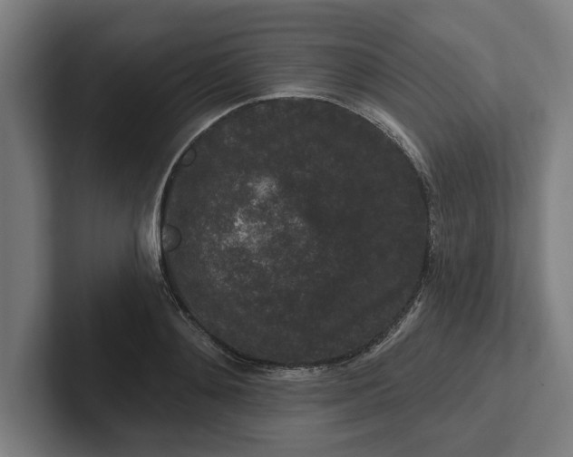 X0000102000892200808011119