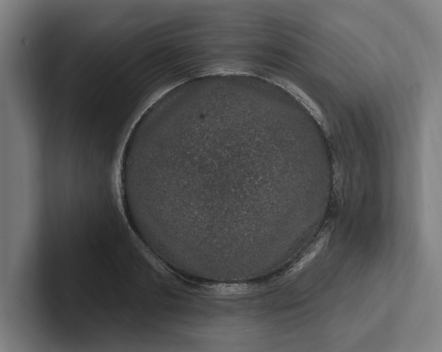 X0000102000893200808011119