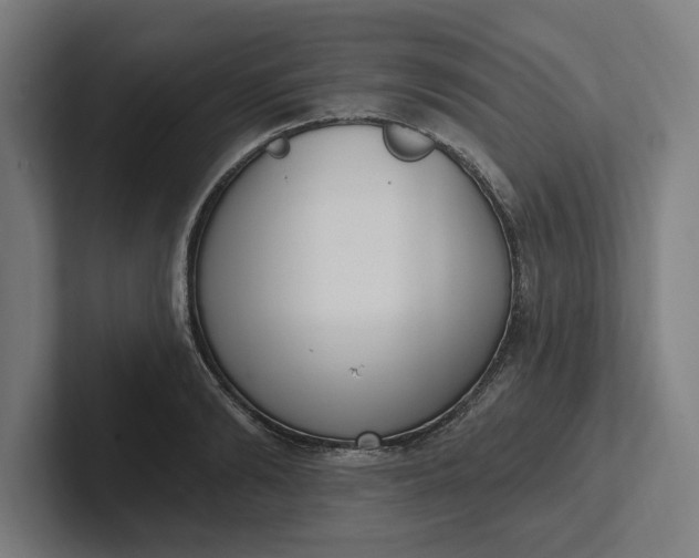 X0000102000894200808011119