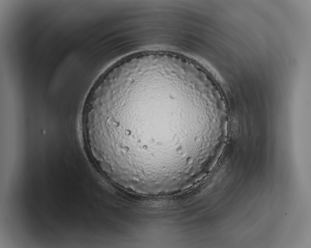 X0000102000895200808011119