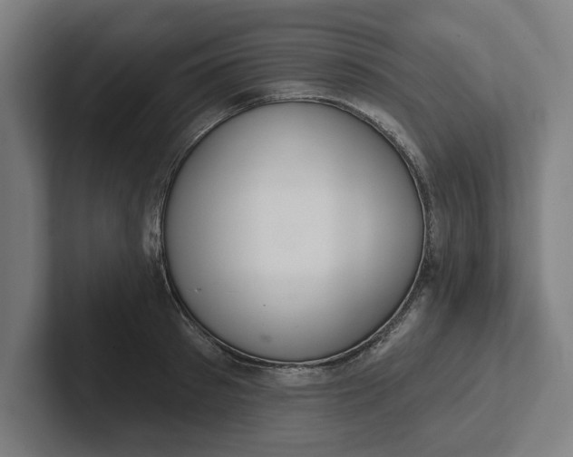 X0000102000897200808011119