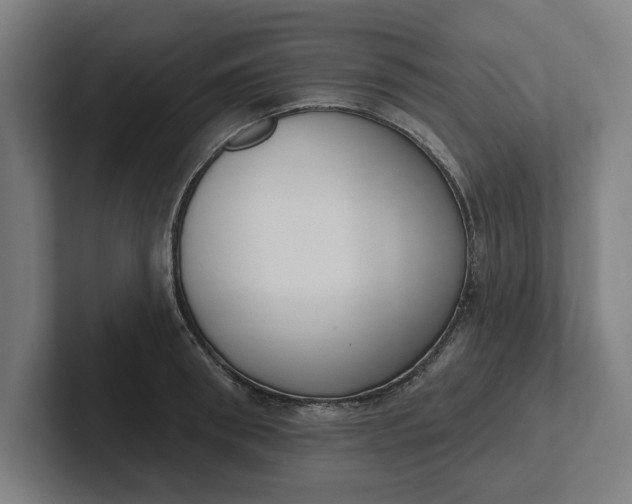 X0000102000898200808011119