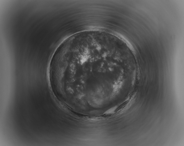 X0000102000899200808011119