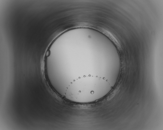 X0000102000900200808011119