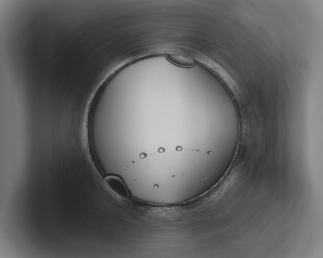 X0000102000902200808011119