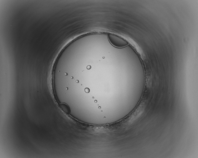 X0000102000903200808011119