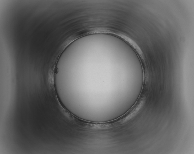 X0000102000905200808011119