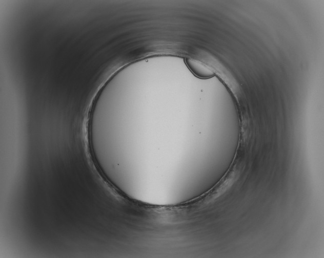 X0000102000906200808011119