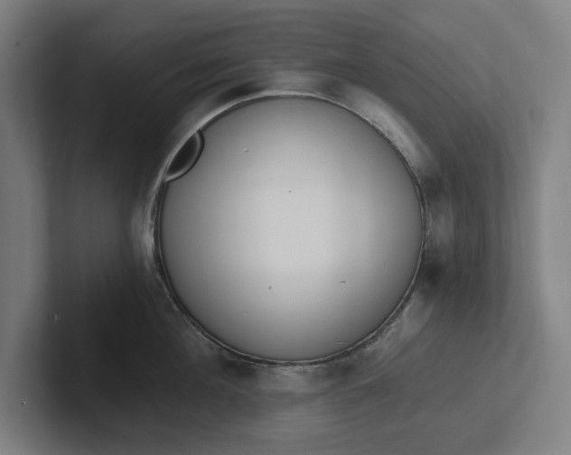 X0000102000908200808011119