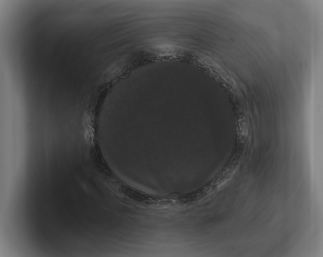 X0000102000916200808011118