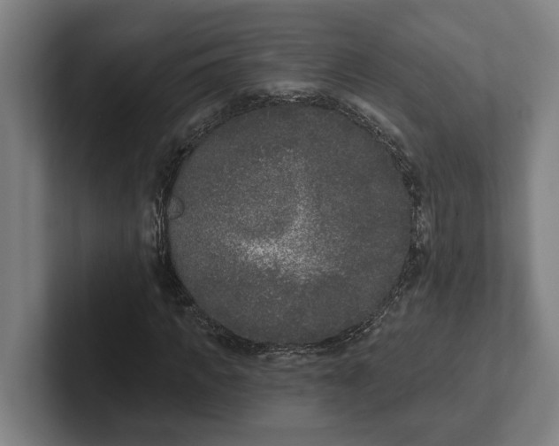 X0000102000917200808011118