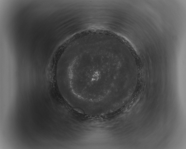 X0000102000919200808011118