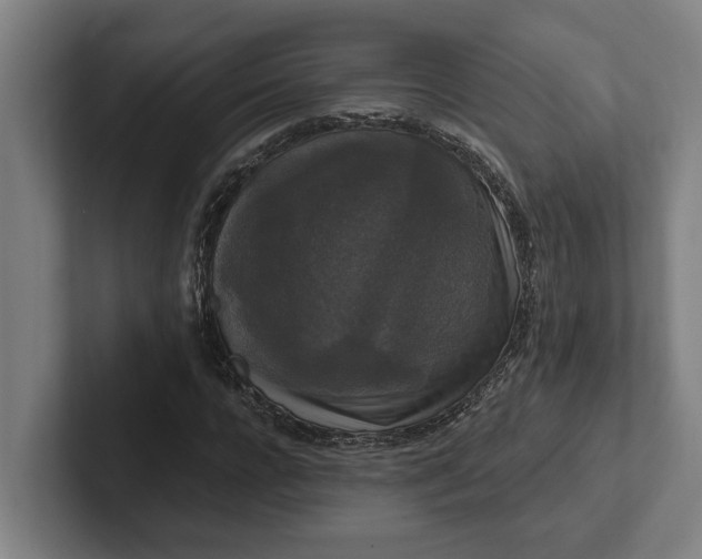 X0000102000920200808011118