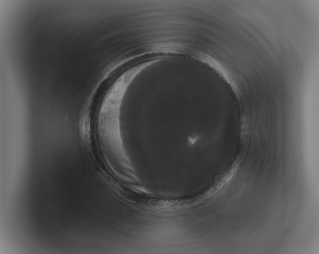 X0000102000923200808011118