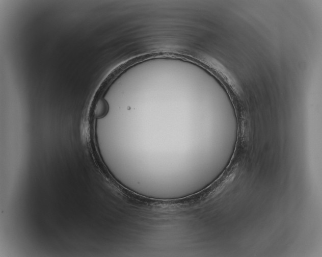 X0000102000924200808011118