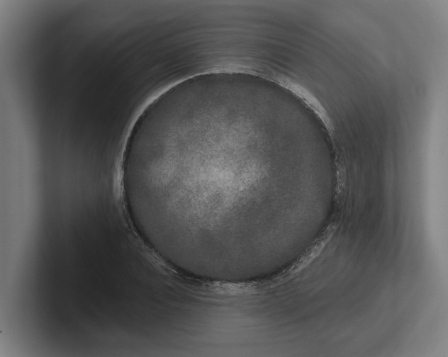 X0000102000928200808011118