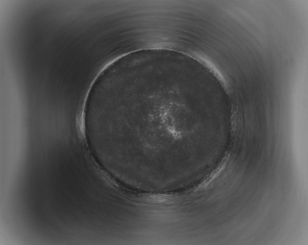 X0000102000932200808011118