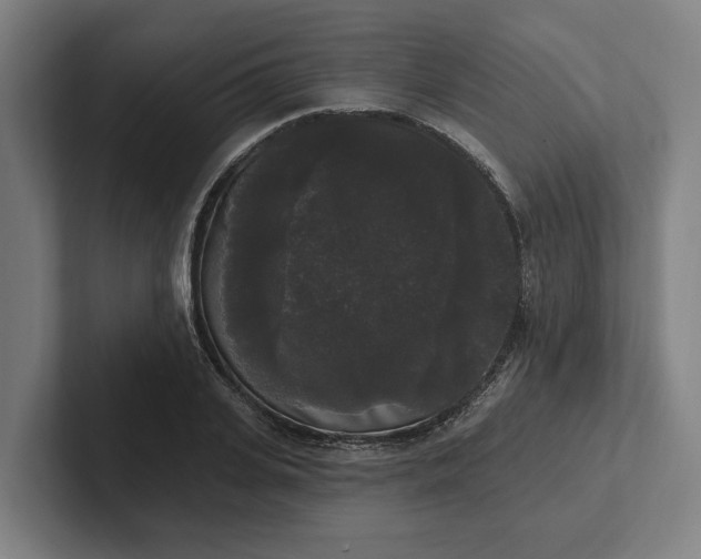 X0000102000935200808011118