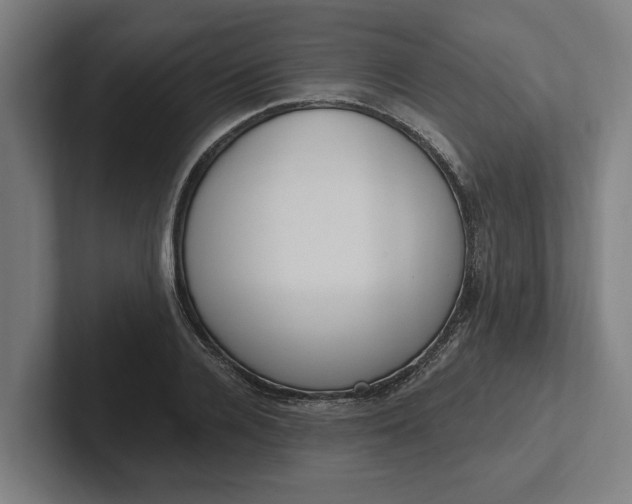 X0000102000936200808011118