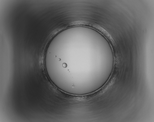 X0000102000937200808011119