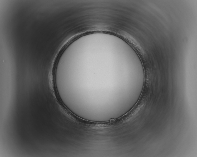 X0000102000942200808011119