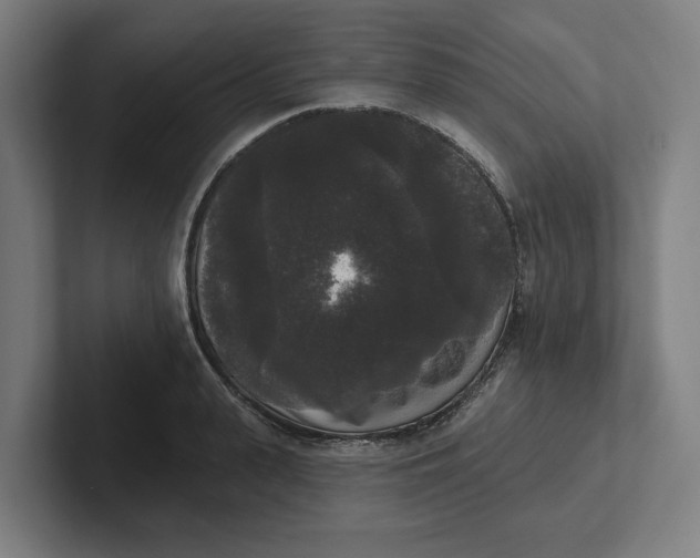 X0000102000943200808011119