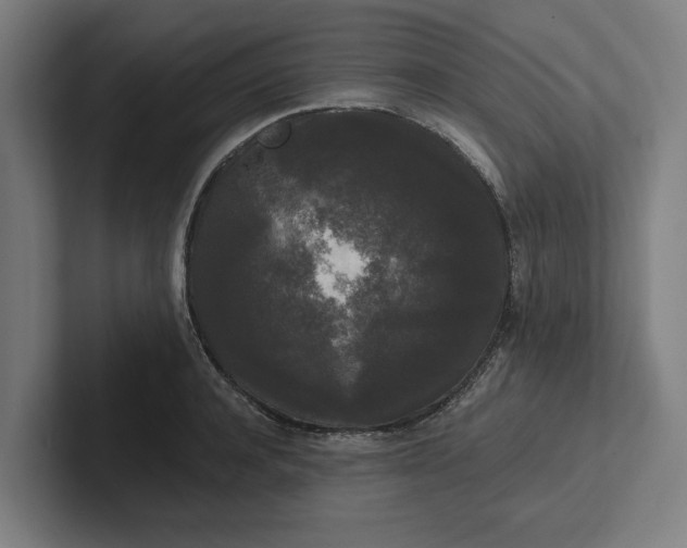 X0000102000944200808011119