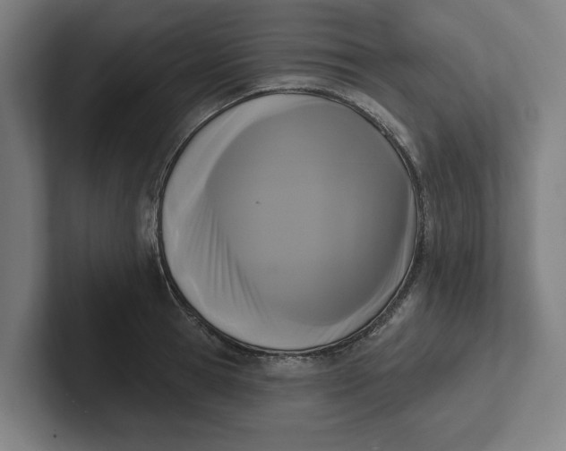 X0000102000945200808011119