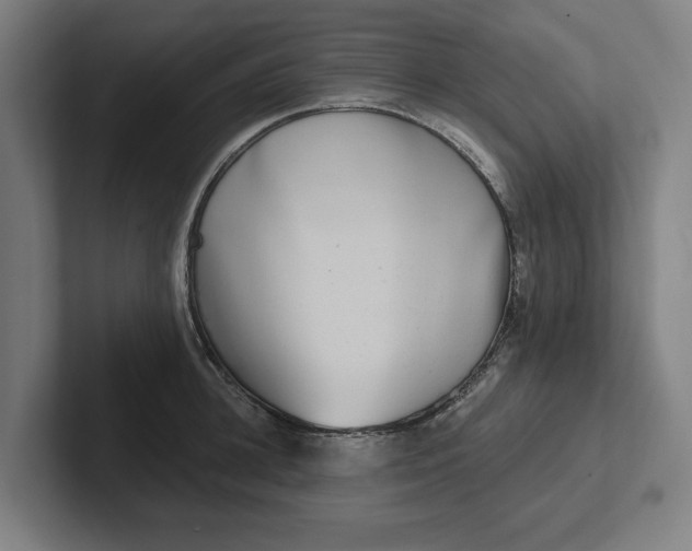 X0000102000948200808011119