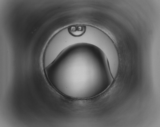 X0000102000950200808011119