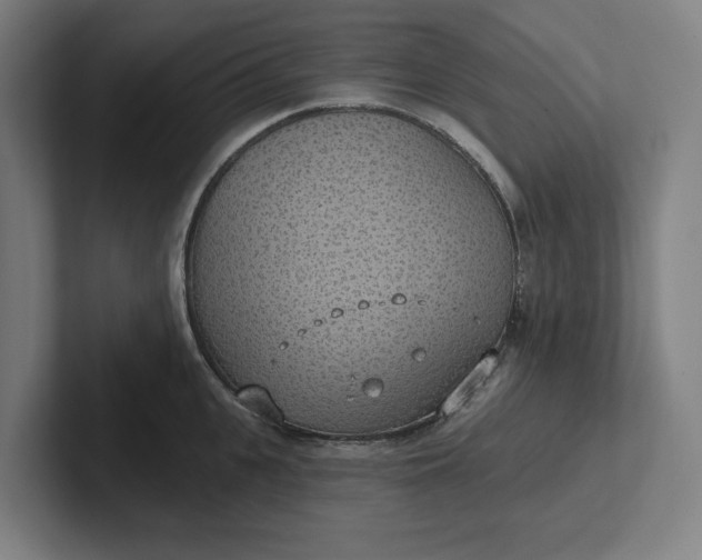 X0000102000951200808011119