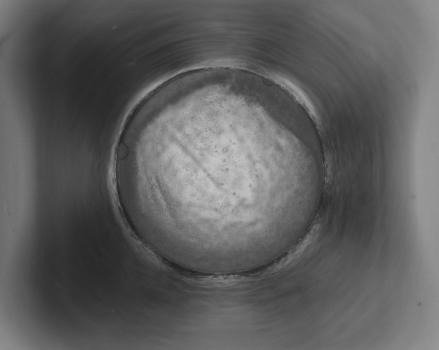 X0000102000952200808011119