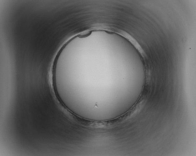 X0000102000955200808011119