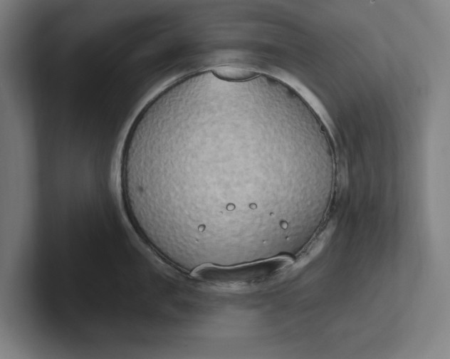 X0000102000957200808011119