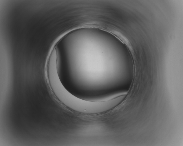 X0000102000960200808011119