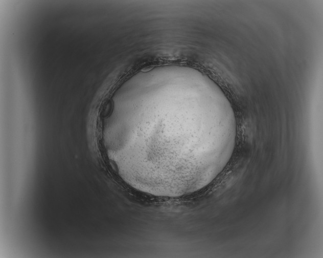 X0000102000961200808011118