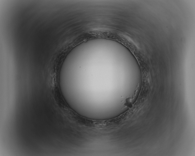 X0000102000965200808011118