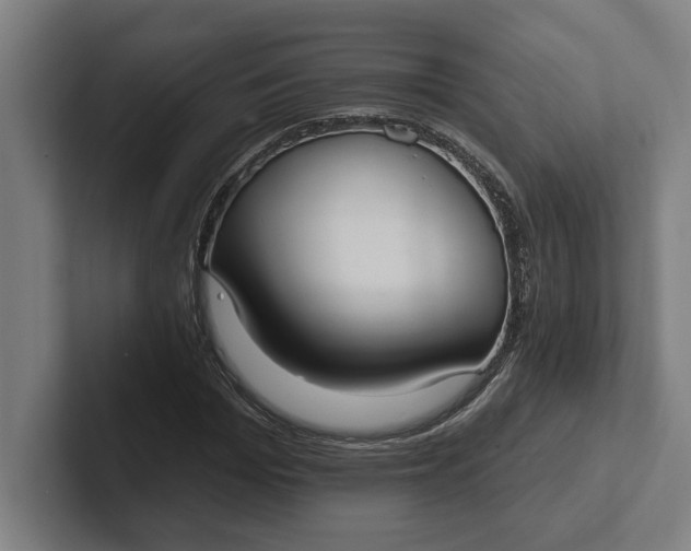 X0000102000969200808011118